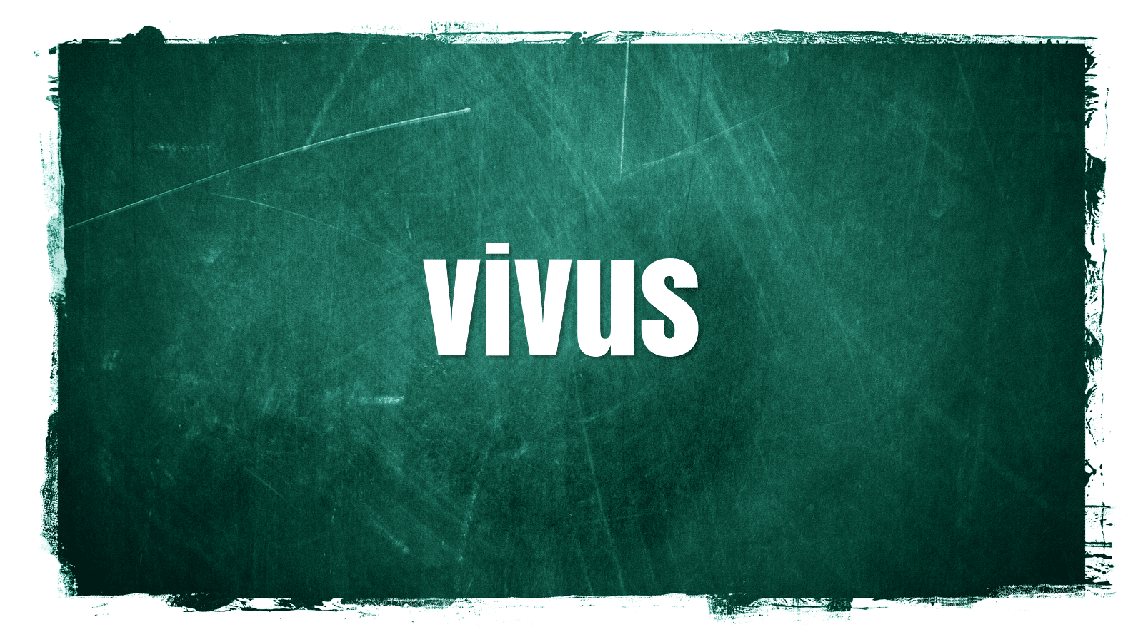 Vivus kokemuksia (2025) | Hetilainaa24.fi